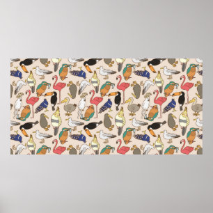 Poster motif d'oiseaux transparent