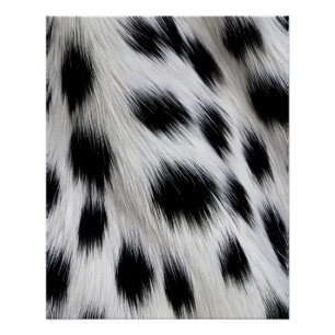 Poster Motif élégant en faux fourrure de dalmatien