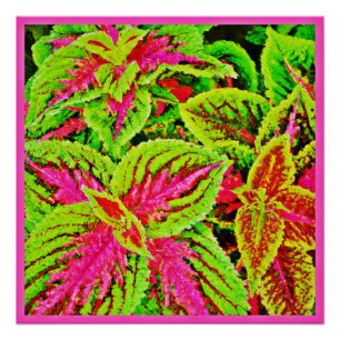 Poster Motif Feuille de la nature vibre