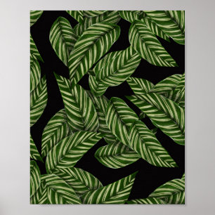 Poster Motif Feuille tropical