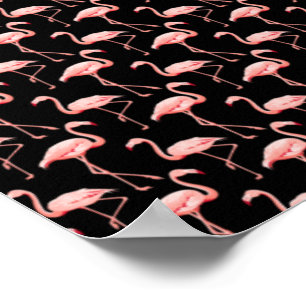 Poster Motif Flamant Rose Oiseau Tropical Amateur d'Anima