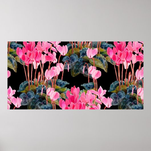 Poster Motif floral sans couture. Cyclamen rose isolé sur (Devant)