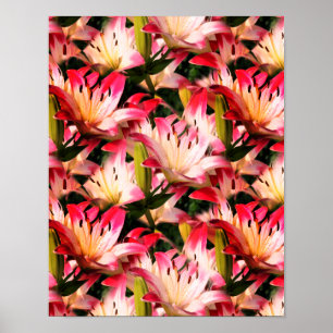 Poster Motif naturel à fleurs blanches