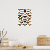 Poster Motif papillon vintage (Cuisine)