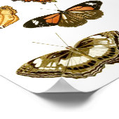 Poster Motif papillon vintage (Coin)
