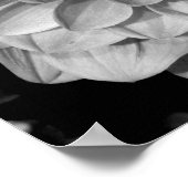 Poster Motif pétal (Coin)