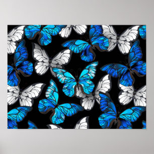 Poster Motif sans couleur foncée avec papillons bleus Mor