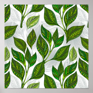 Poster Motif sans couture avec Feuilles de thé vert