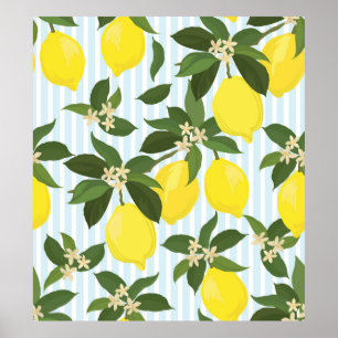 Poster Motif vintage aux agrumes sans couture sur fond bl