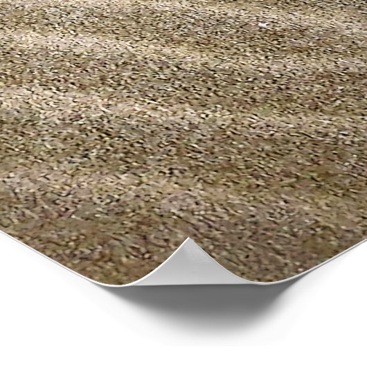 Poster Motifs de sable (Coin)