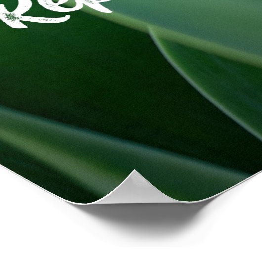 Poster Motivation Bouddha (Coin)