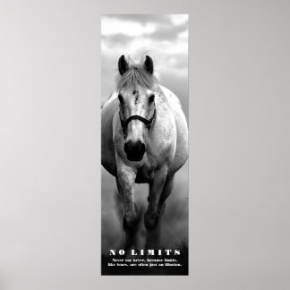 Poster Motivation Cheval Sans Limites Artwork Noir Blanc