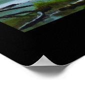 Poster Motivation de l'aigle à tête blanche et de la rivi (Coin)