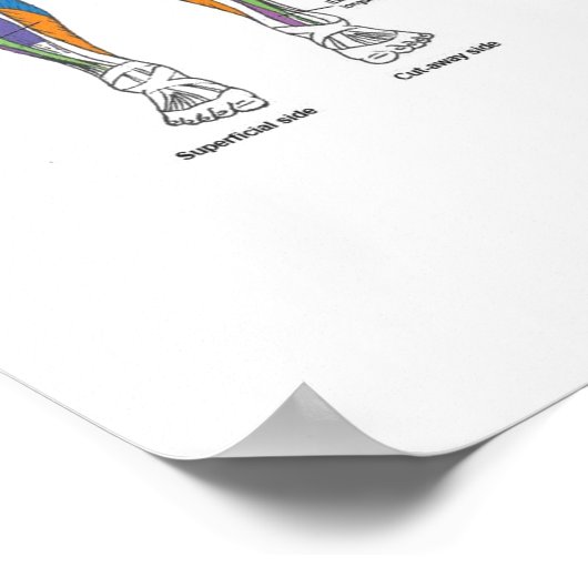 Poster Motivation de l'entraînement (Coin)