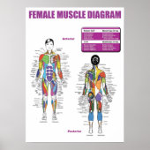 Poster Motivation de l'entraînement (Devant)