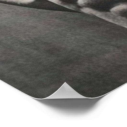 Poster Motivation de l'entraînement (Coin)