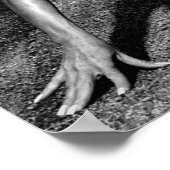 Poster Motivation de l'entraînement (Coin)