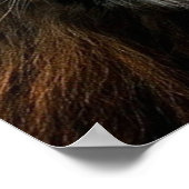 Poster Motivation de l'entraînement (Coin)