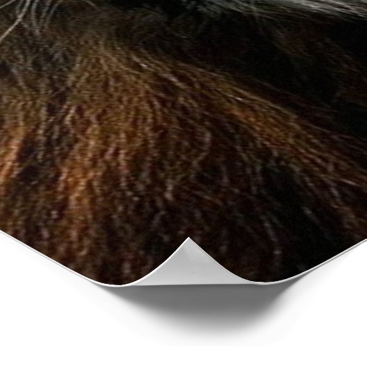 Poster Motivation de l'entraînement (Coin)