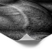 Poster Motivation de l'entraînement (Coin)