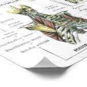 Poster Motivation de l'entraînement (Coin)