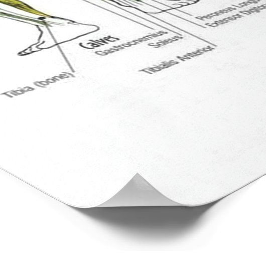 Poster Motivation de l'entraînement (Coin)