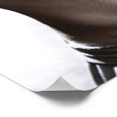 Poster Motivation de l'entraînement (Coin)