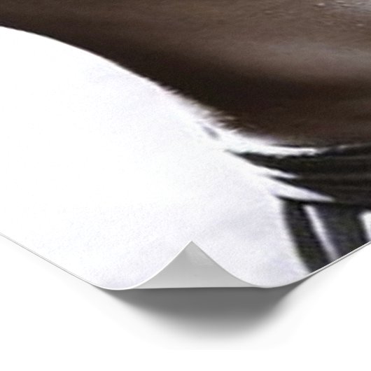 Poster Motivation de l'entraînement (Coin)