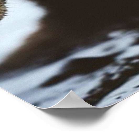 Poster Motivation de l'entraînement (Coin)