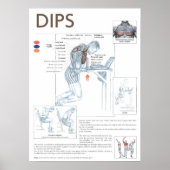 Poster Motivation de l'entraînement (Devant)