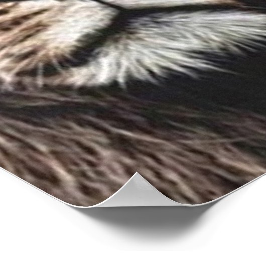 Poster Motivation de l'entraînement (Coin)