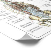 Poster Motivation de l'entraînement (Coin)