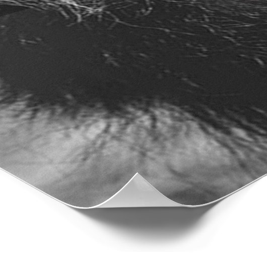 Poster Motivation de l'entraînement (Coin)