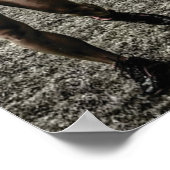 Poster Motivation de l'entraînement (Coin)