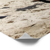 Poster Motivation de l'entraînement (Coin)