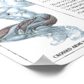 Poster Motivation de l'entraînement (Coin)