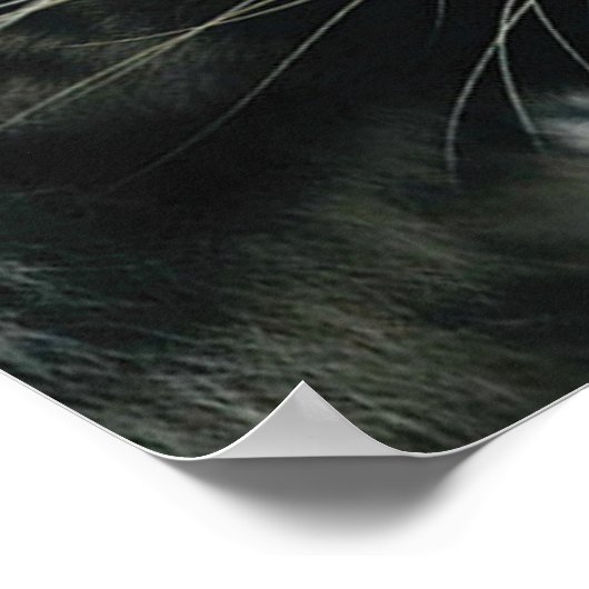 Poster Motivation de l'entraînement (Coin)