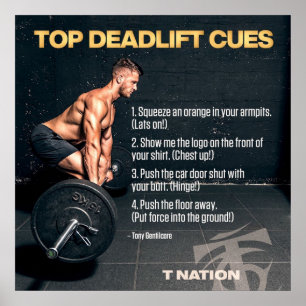 Poster Motivation de l'entraînement de gymnastique de mus