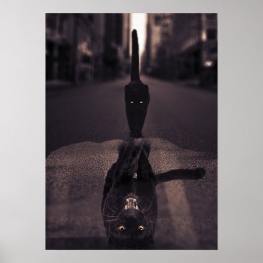 Poster Motivation de l'état d'esprit du chat noir et de l (Devant)