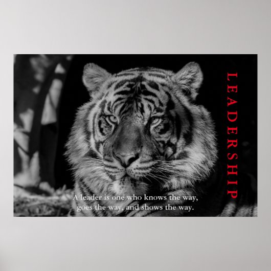 Poster Motivation du leadership du tigre noir et blanc (Devant)