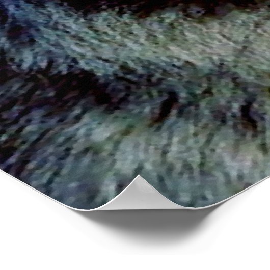 Poster Motivational Courage Wolf Eyes (Coin)