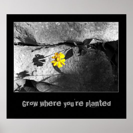 Poster Motivational "Growth" (Devant)
