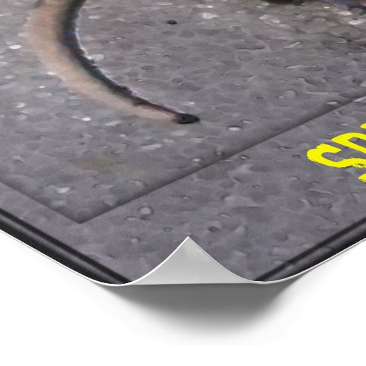 Poster Motivational Roadkill (Coin)