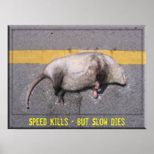 Poster Motivational Roadkill (Devant)
