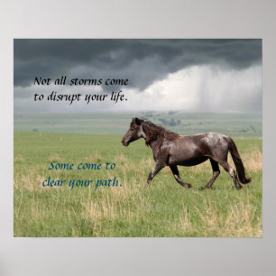 Poster Motivational Wild Mustang Horse