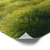 Poster motivationnel (Coin)