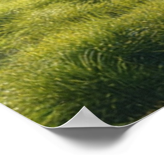 Poster motivationnel (Coin)