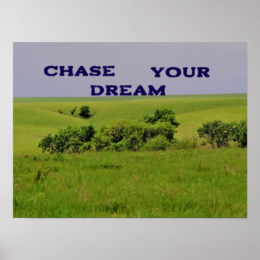 Poster Motivationnel Chase Your Dream (Devant)