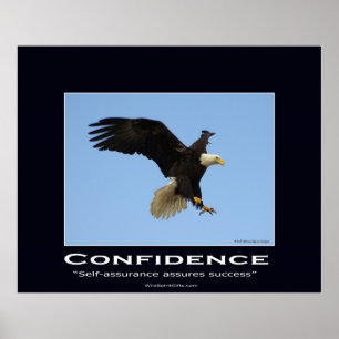 Poster Motivationnel de l'aigle chauve