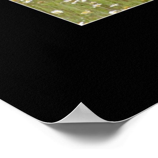 Poster Motivationnel de l'Ours Esprit (Coin)